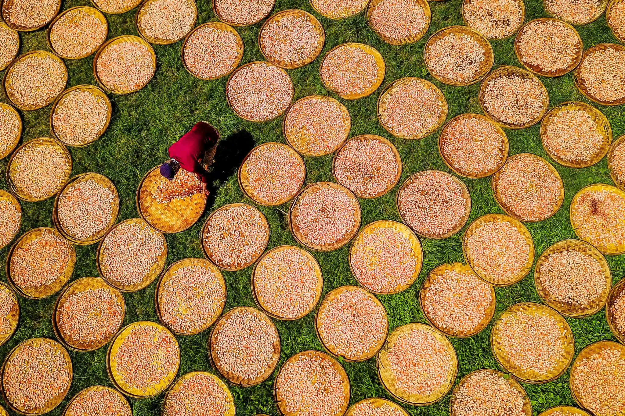 Economic Growth and Development