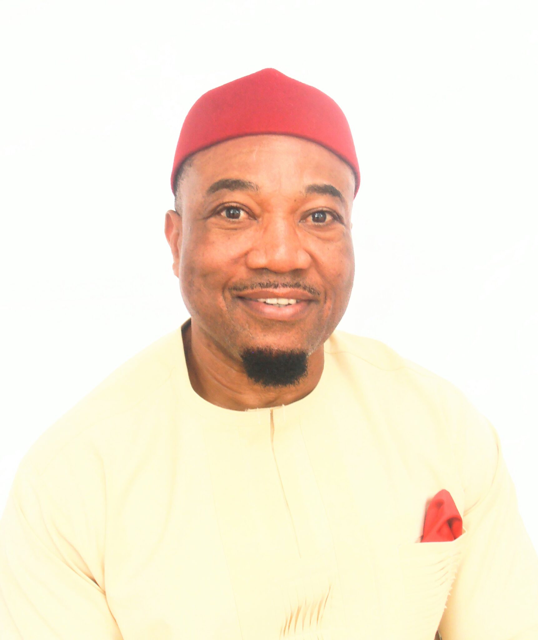 Mandeking E. Ijoma — President, Nigeria-Japan Chamber of Commerce